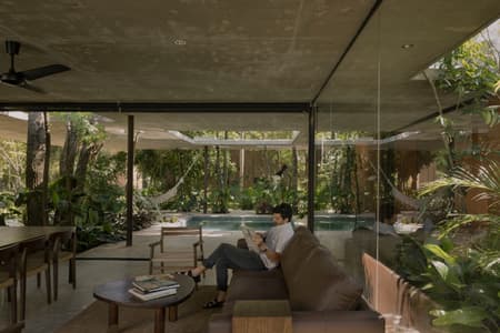 A Forest in the House
